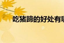 吃豬蹄的好處有哪些（吃豬蹄的好處）