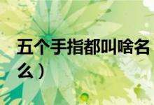 五個手指都叫啥名（5個手指的名稱分別是什么）