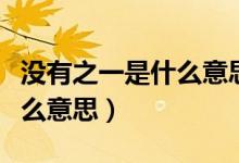 沒有之一是什么意思（沒有之一只有唯一是什么意思）