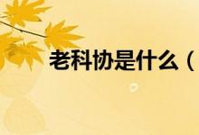 老科協(xié)是什么（老科協(xié)是什么單位）