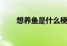 想養(yǎng)魚是什么梗（養(yǎng)魚嗎是什么梗）