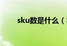 sku數(shù)是什么（SKU數(shù)是什么意思）