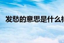 發(fā)愁的意思是什么標(biāo)準(zhǔn)答案（發(fā)愁的意思）