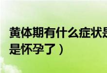 黃體期有什么癥狀是懷孕（黃體期有什么癥狀是懷孕了）