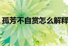 孤芳不自賞怎么解釋（孤芳不自賞怎么解釋）