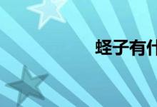 蟶子有什么營(yíng)養(yǎng)價(jià)值