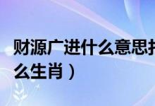 財(cái)源廣進(jìn)什么意思打一生肖（財(cái)源廣進(jìn)指是什么生肖）