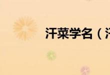汗菜學(xué)名（汗菜學(xué)名叫什么）