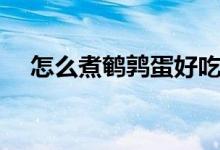 怎么煮鵪鶉蛋好吃（怎么煮鵪鶉蛋好吃）