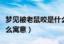 夢見被老鼠咬是什么意思（夢見被老鼠咬是什么寓意）