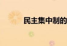 民主集中制的基本原則是什么？