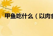 甲魚吃什么（以肉食性為主的雜食性動(dòng)物）