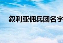 敘利亞傭兵團(tuán)名字（敘利亞傭兵什么梗）