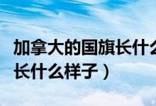 加拿大的國(guó)旗長(zhǎng)什么樣的圖片（加拿大的國(guó)旗長(zhǎng)什么樣子）