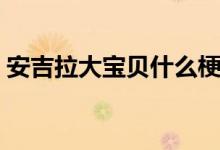 安吉拉大寶貝什么梗（安吉拉大寶貝什么梗）