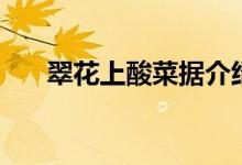 翠花上酸菜據(jù)介紹（故事梗概是什么）