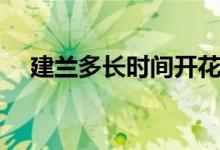 建蘭多長(zhǎng)時(shí)間開(kāi)花（建蘭大概幾月開(kāi)花）