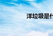 洋垃圾是什么東西商品嗎