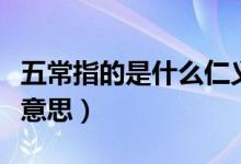 五常指的是什么仁義禮智信（五常指的是什么意思）