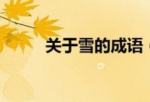 關(guān)于雪的成語（雪的成語有哪些）