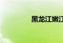 黑龍江嫩江縣屬于哪個市