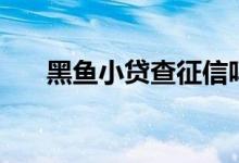 黑魚小貸查征信嗎（小黑魚查征信嗎）