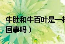 牛肚和牛百葉是一樣的嗎（牛肚和牛百葉是一回事嗎）