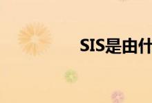 SIS是由什么組合而成的