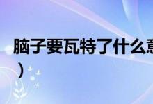 腦子要瓦特了什么意思（腦子瓦特啦什么意思）