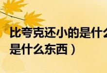 比夸克還小的是什么基本粒子（比夸克還小的是什么東西）