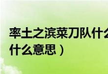 率土之濱菜刀隊什么英雄好（率土之濱菜刀隊什么意思）