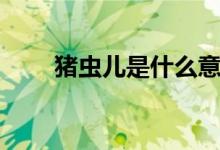 豬蟲兒是什么意思（豬蟲兒是什么）