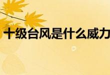 十級臺風(fēng)是什么威力（十級臺風(fēng)是什么概念）