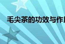 毛尖茶的功效與作用（毛尖茶的6種功效）