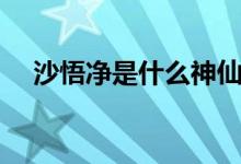 沙悟凈是什么神仙（沙悟凈是什么動物）