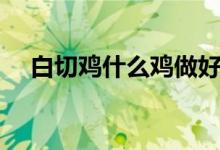 白切雞什么雞做好吃（白切雞什么意思）