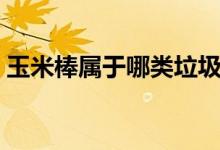 玉米棒屬于哪類(lèi)垃圾（玉米棒屬于哪類(lèi)垃圾）