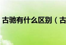 古馳有什么區(qū)別（古馳和古奇有什么不同古）