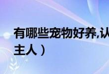 有哪些寵物好養(yǎng),認(rèn)主人（養(yǎng)什么小寵物會(huì)認(rèn)主人）