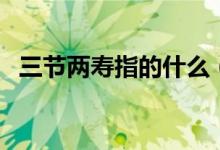 三節(jié)兩壽指的什么（三節(jié)兩壽指的是什么）