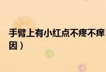 手臂上有小紅點不疼不癢（手臂上有小紅點不痛不癢什么原因）
