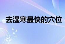 去濕寒最快的穴位（去濕寒最快的好方法）