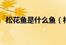 松花魚是什么魚（松花魚是什么魚刺多嗎）