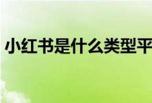 小紅書是什么類型平臺（小紅書是什么東西）