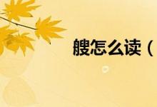 艘怎么讀（艘生字的讀音）