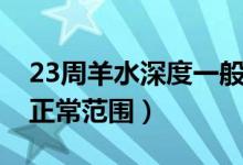 23周羊水深度一般多少（羊水23周深度多少正常范圍）