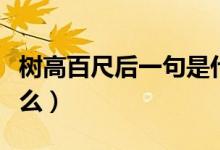樹高百尺后一句是什么（樹高百尺后一句是什么）