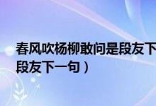 春風(fēng)吹楊柳敢問是段友下一句是什么?（清風(fēng)拂楊柳敢問是段友下一句）