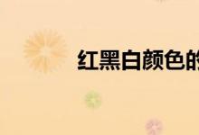 紅黑白顏色的環(huán)蛇叫什么圖片