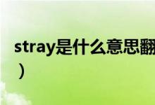 stray是什么意思翻譯（stray網(wǎng)名是什么意思）